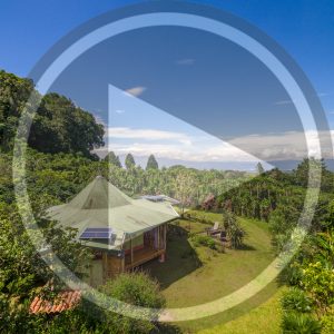 Virtual Tour | Beautiful Coffee Farm for sale with Bamboo House featuring an Architecturally Stunning Cathedral Ceiling - $399,000